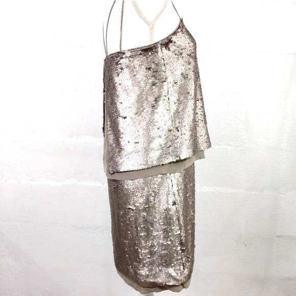 Banana Republic Silver Sequin Chiffon Party Cockta - Picture 2 of 11